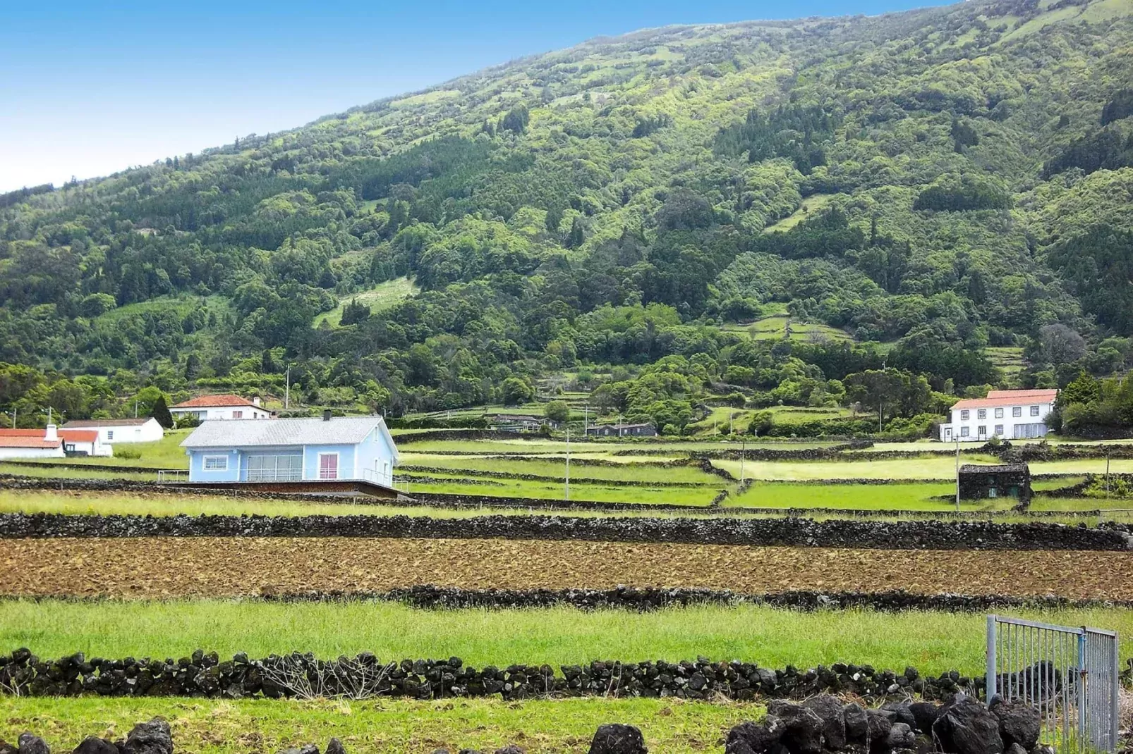 Ferienhäuser Adegas do Pico in Prainha // Adega T2 70-90m2 / sea-Gebieden zomer 1km