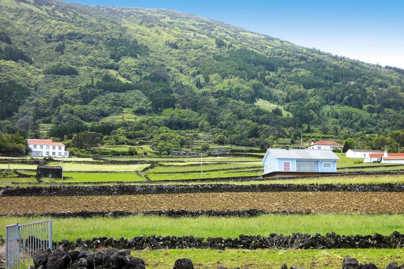 Ferienhäuser Adegas do Pico in Prainha // Adega T2 70-90m2 / sea-Gebieden zomer 1km