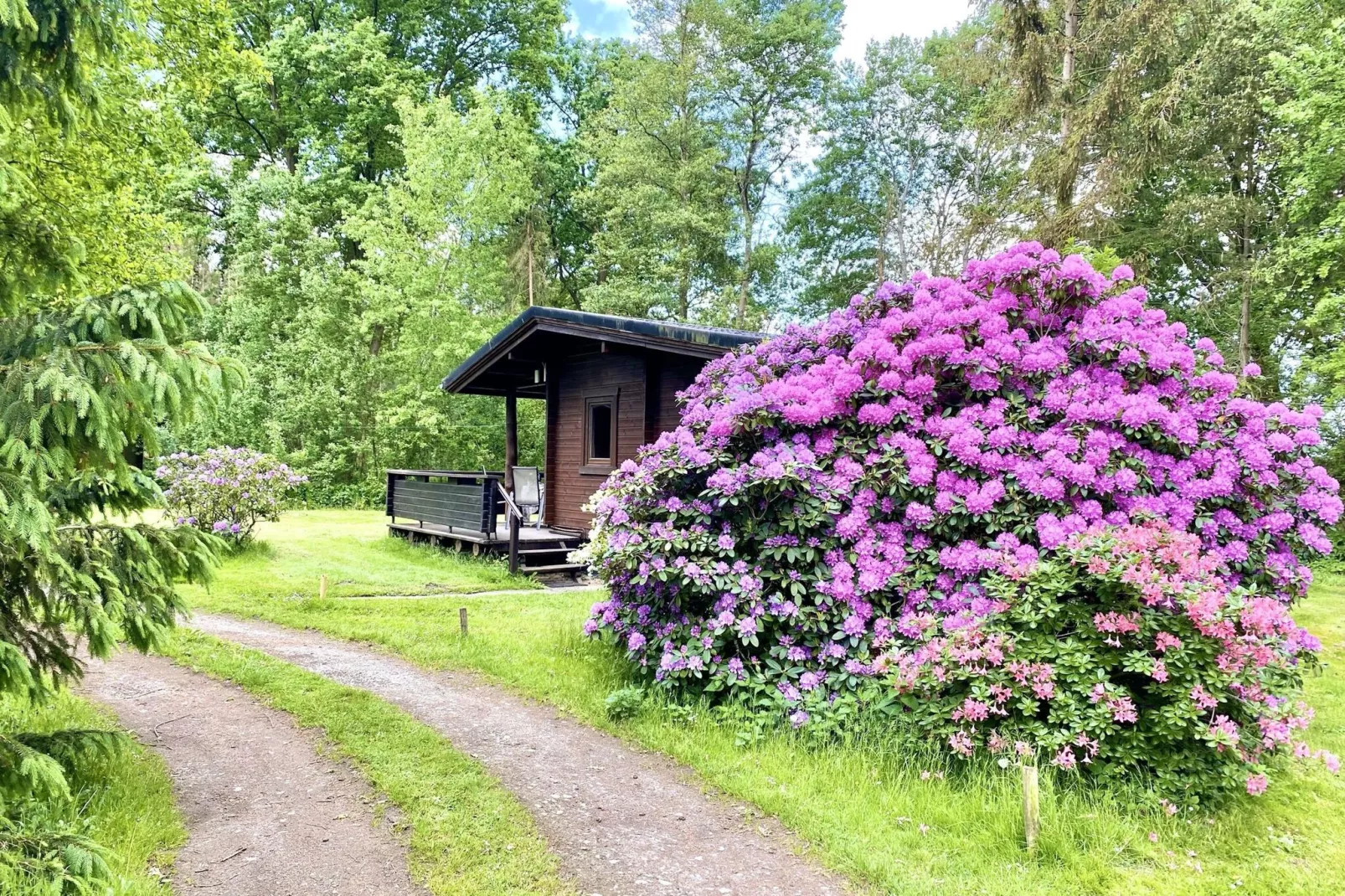 Lüneburger Heide-Buitenkant zomer