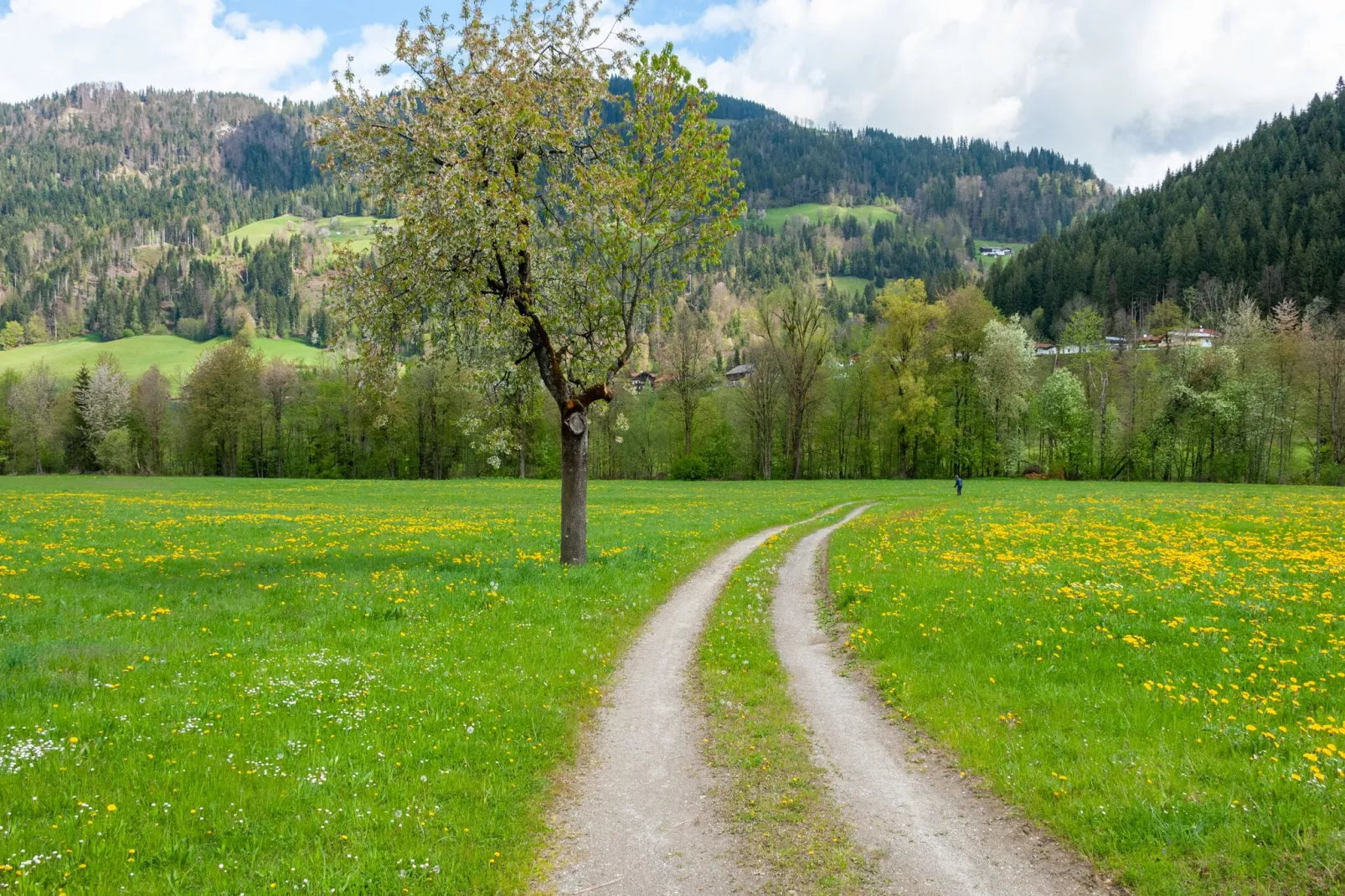 Residenz Edelalm - Penthouse 10-Gebieden zomer 5km