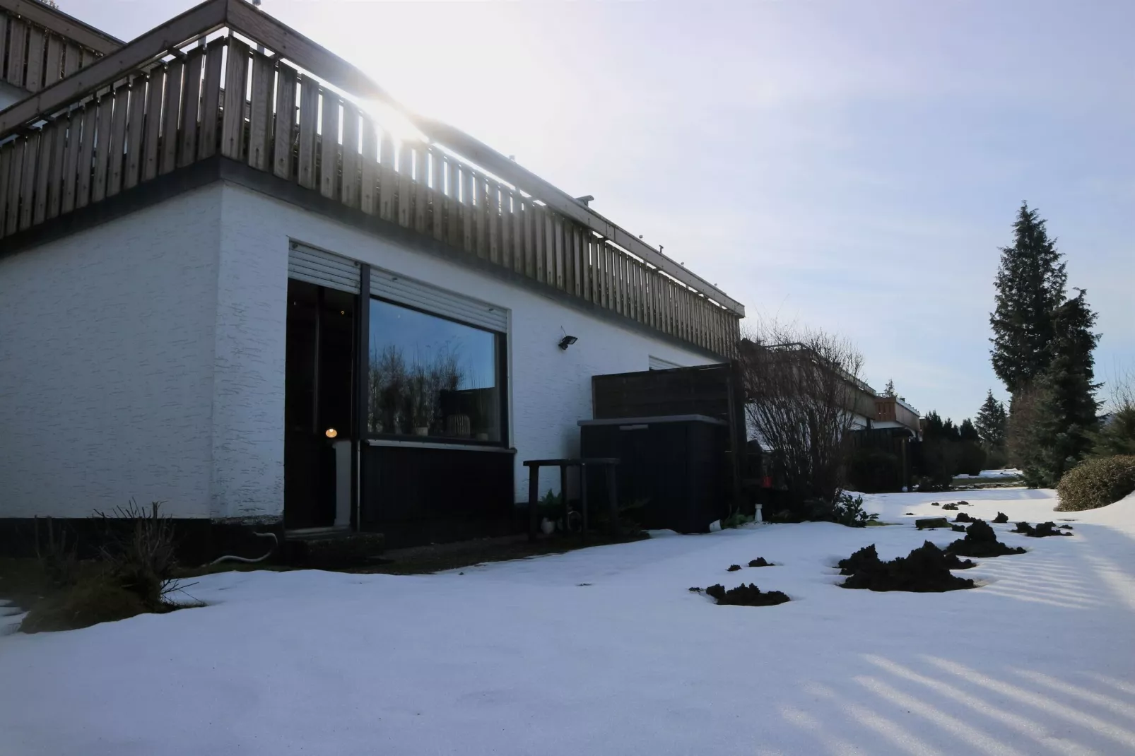 Flora-Exterieur winter
