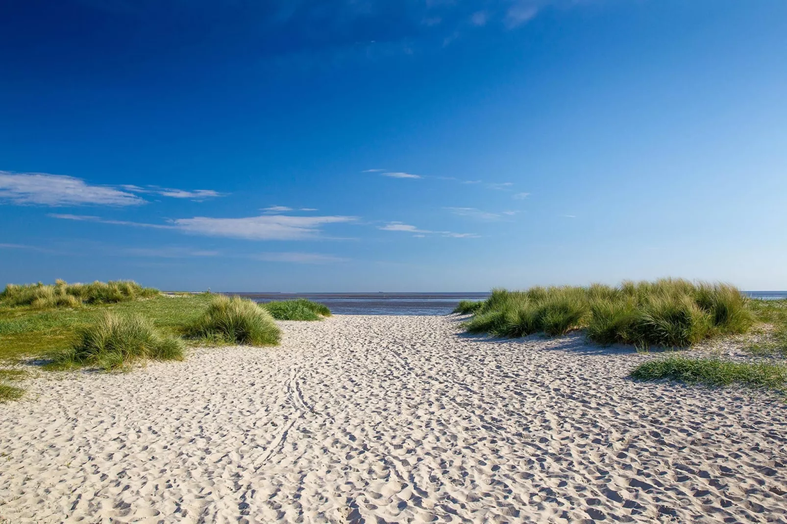 14 persoons vakantie huis in Sydals