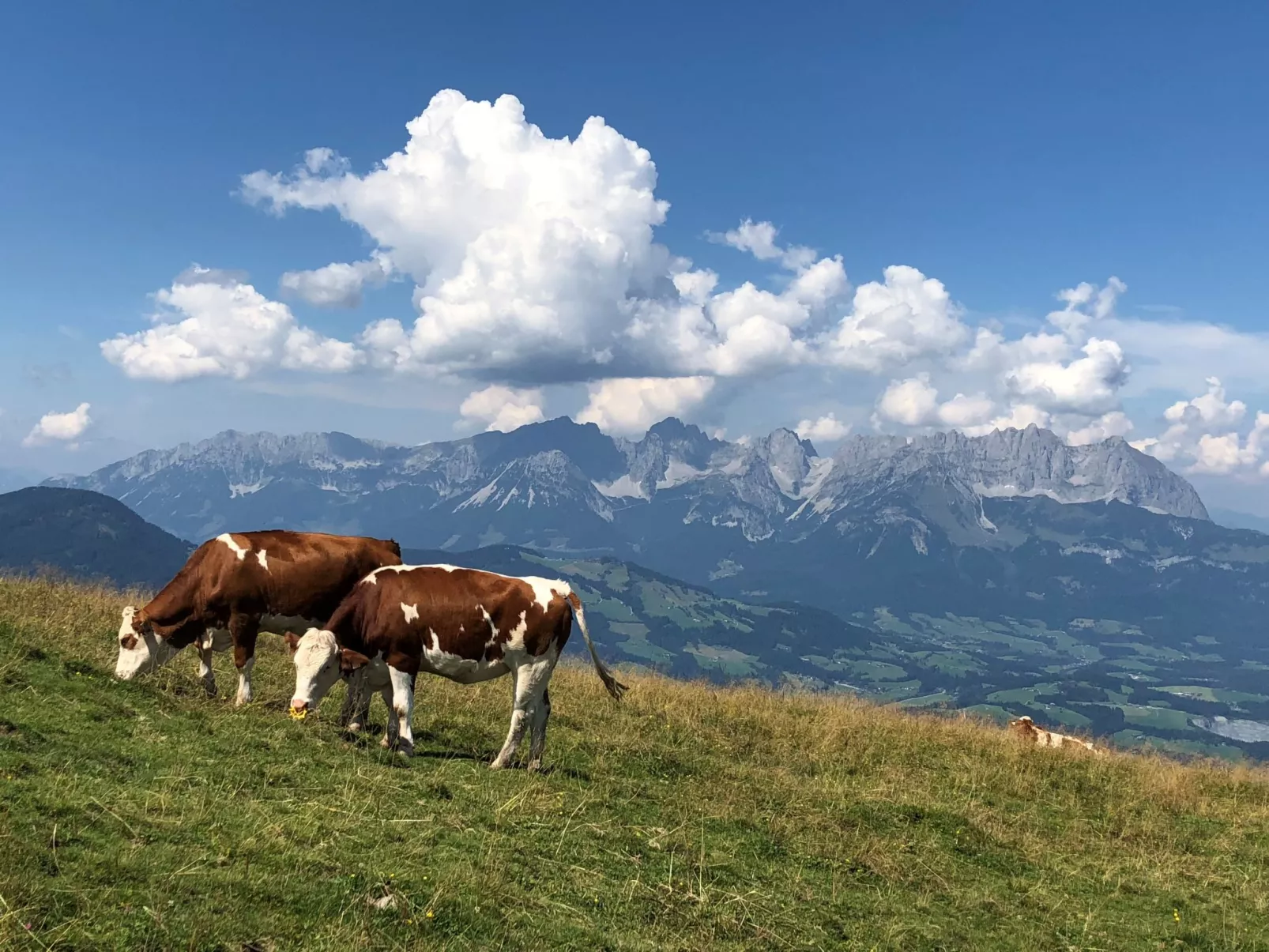 Erika`s Häuschen-Buiten