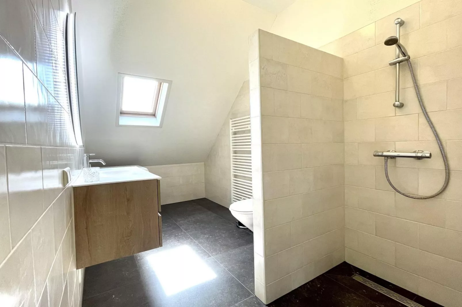 Anzelhoef Apartment Oost-Badkamer