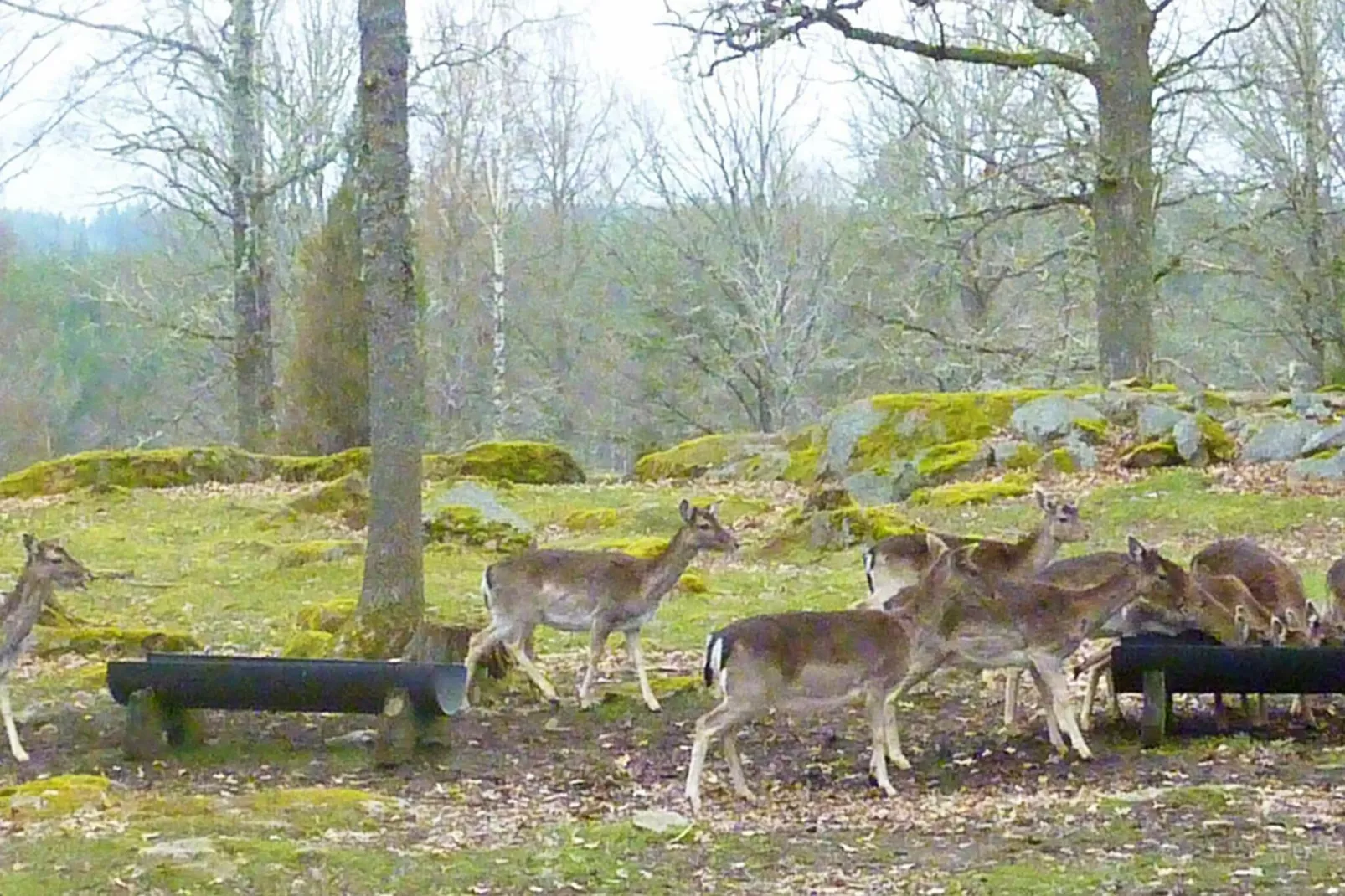 6 persoons vakantie huis in Pauliström-By Traum