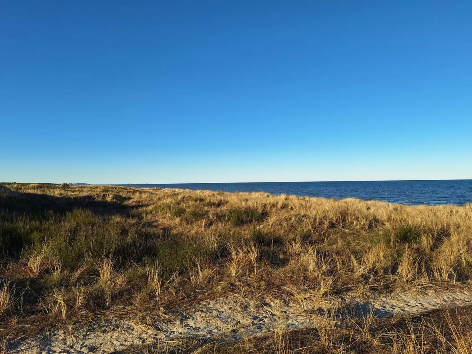 "Mads" - 700m from the sea