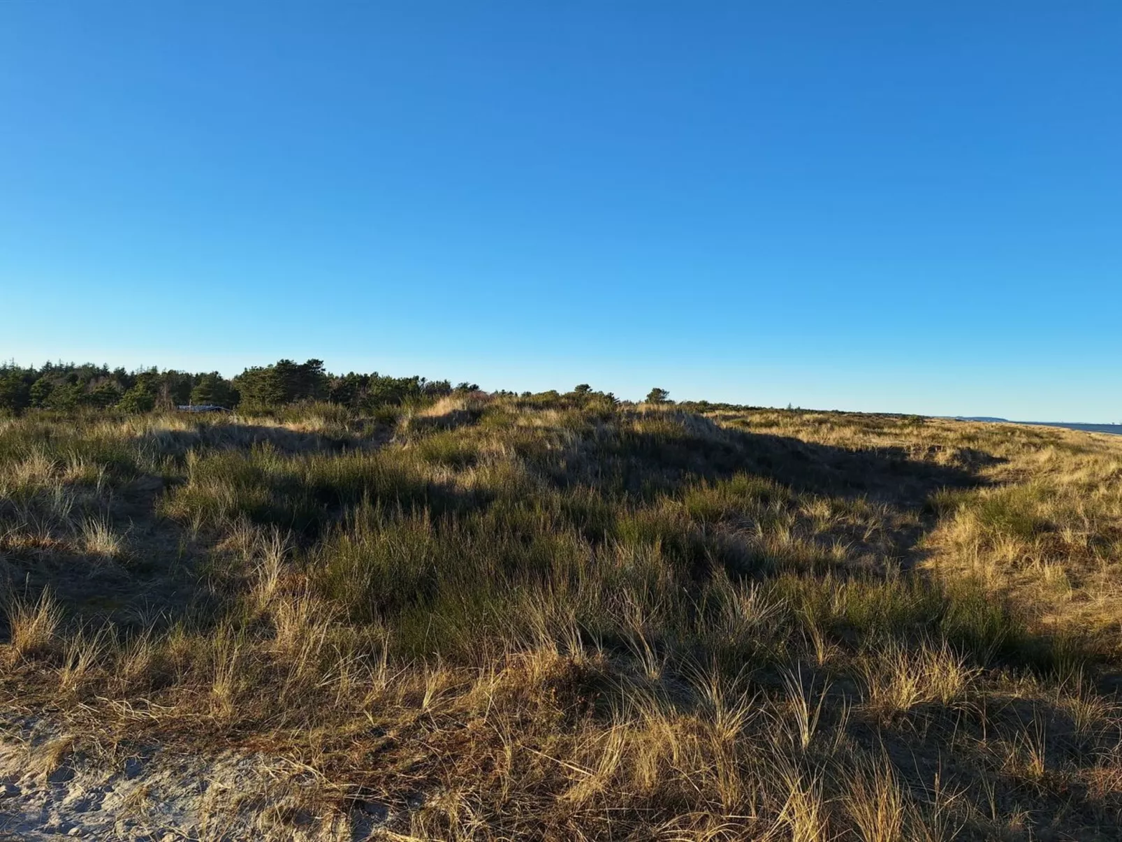 "Mads" - 700m from the sea