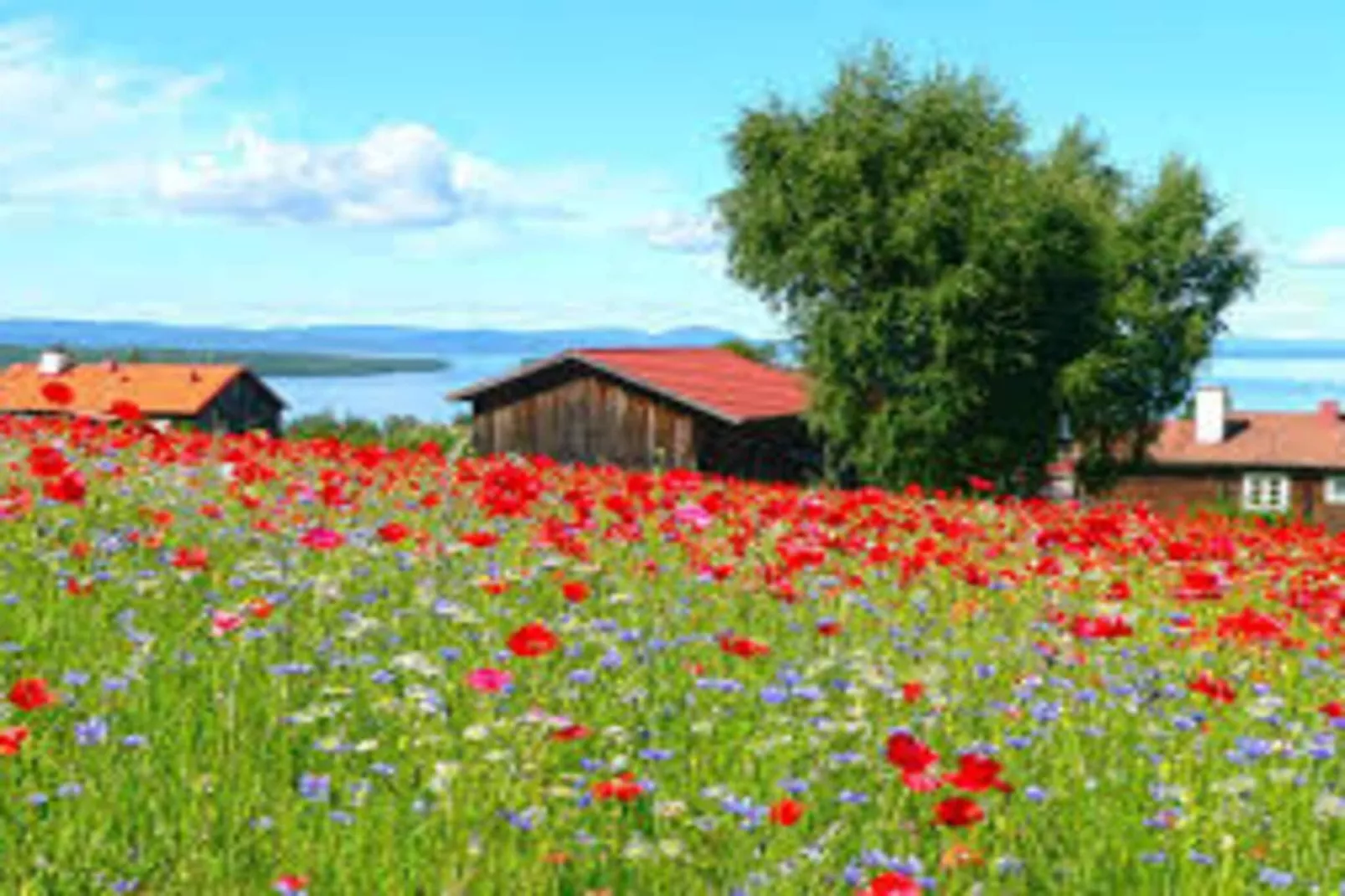 4 sterren vakantie huis in TÄLLBERG