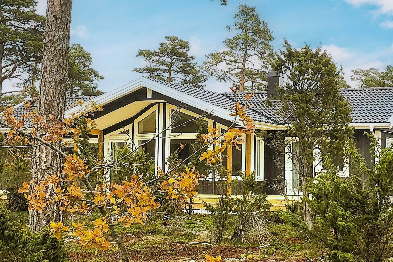5 sterren vakantie huis in Ljugarn