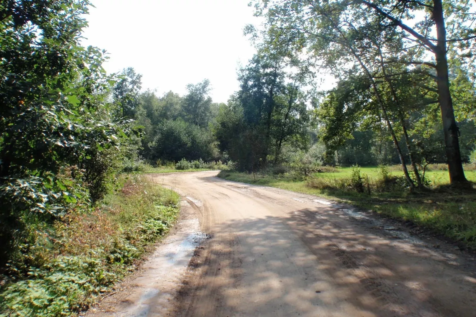 Sijs-Gebieden zomer 5km