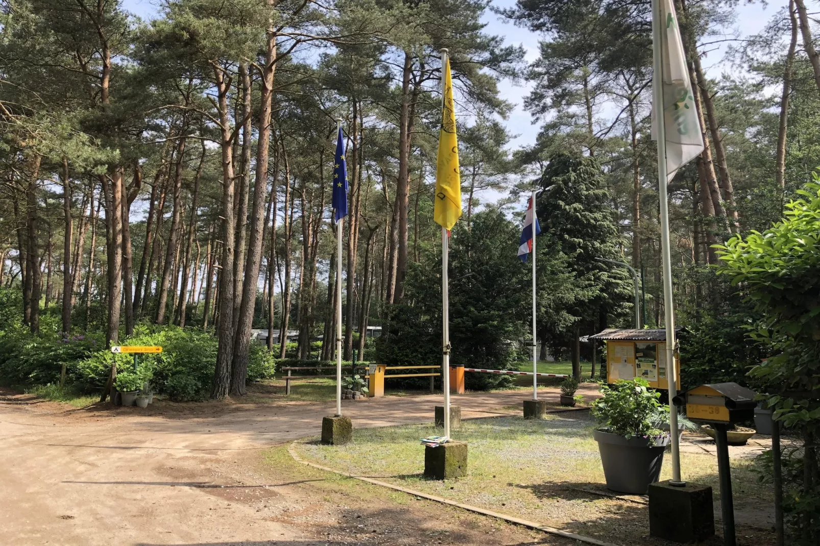 Sparrowhawk-Gebieden zomer 5km
