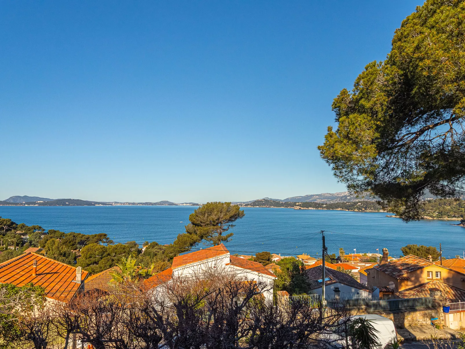 Le Provençal