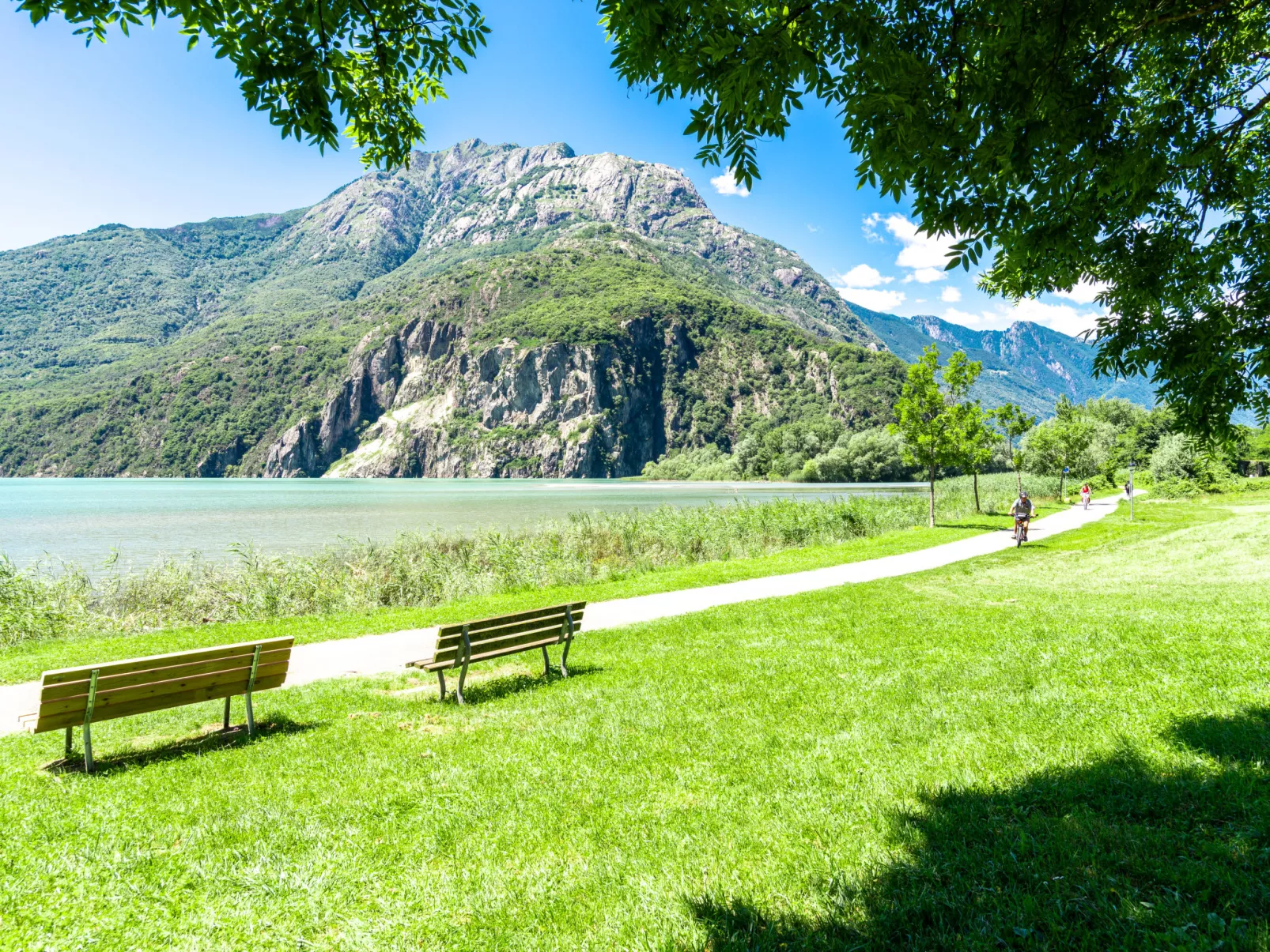 Svasso-Omgeving