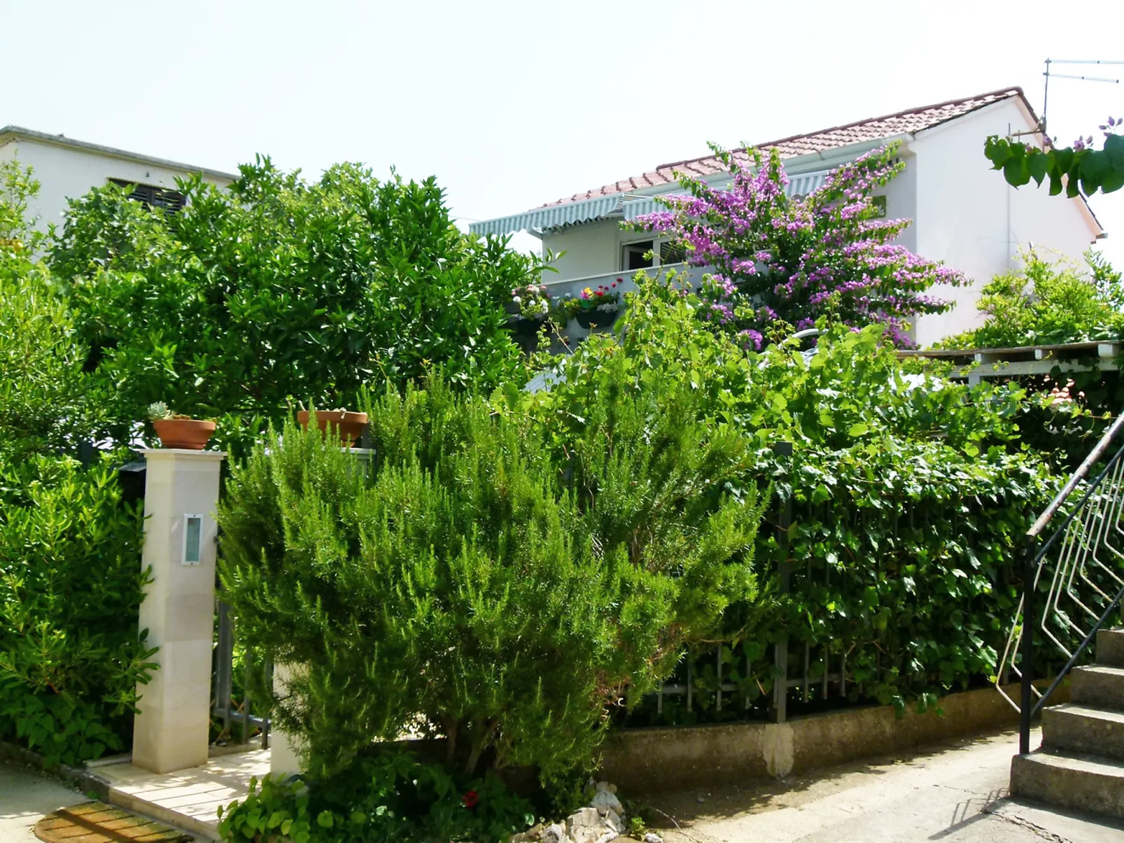 Villa ANiMa-Mia-Buiten