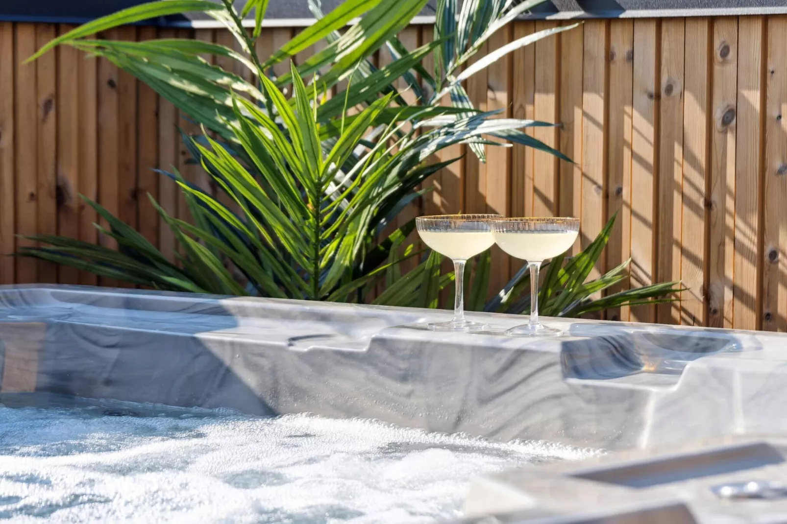 5-sterren vakantiehuis in Henne Beach-Spa