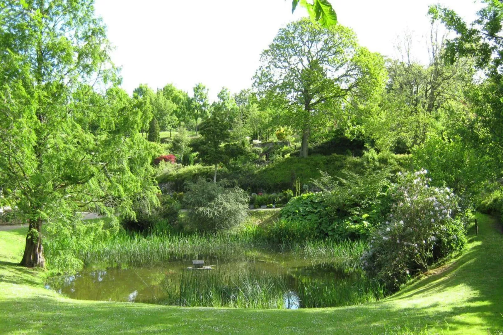 6 persoons vakantie huis in Hjørring-Uitzicht
