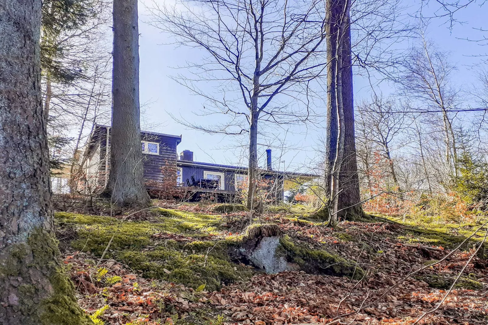4 persoons vakantie huis in Aars-By Traum-Buitenlucht