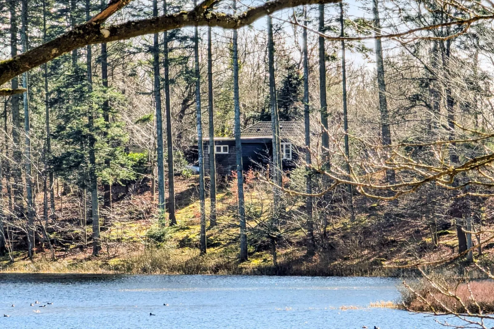 4 persoons vakantie huis in Aars-By Traum-Buitenlucht