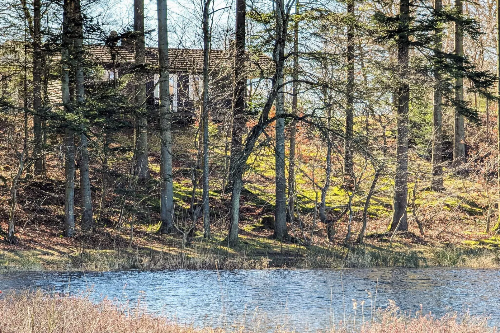 4 persoons vakantie huis in Aars-By Traum-Buitenlucht