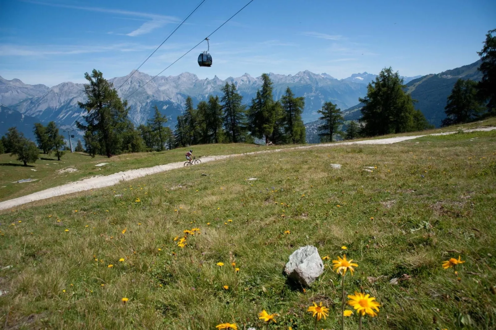 Tschoueilles 013 MOUNTAIN & VIEW - chalet 12 pers-Gebieden zomer 1km