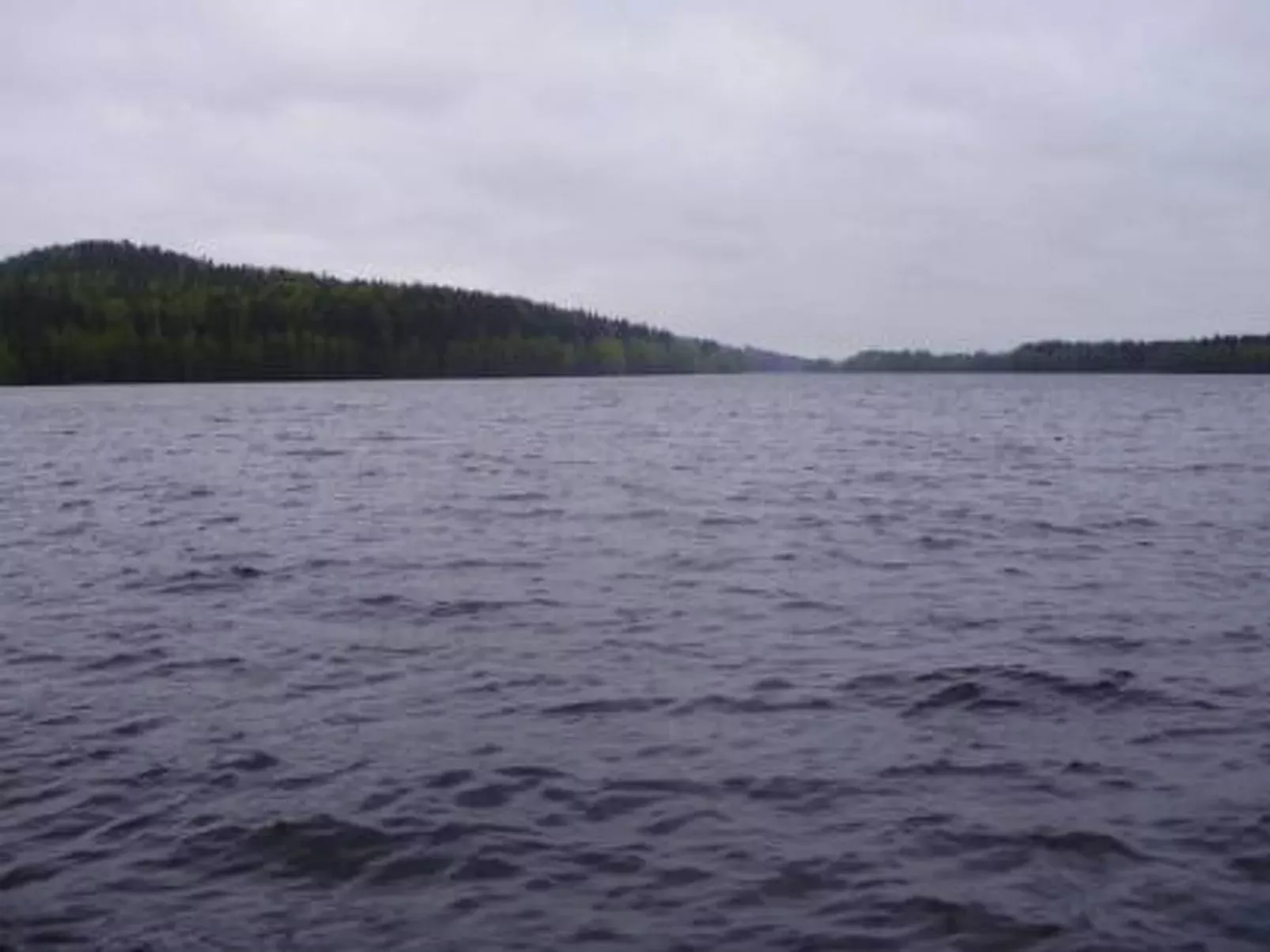 Hevonkuusi-Buiten