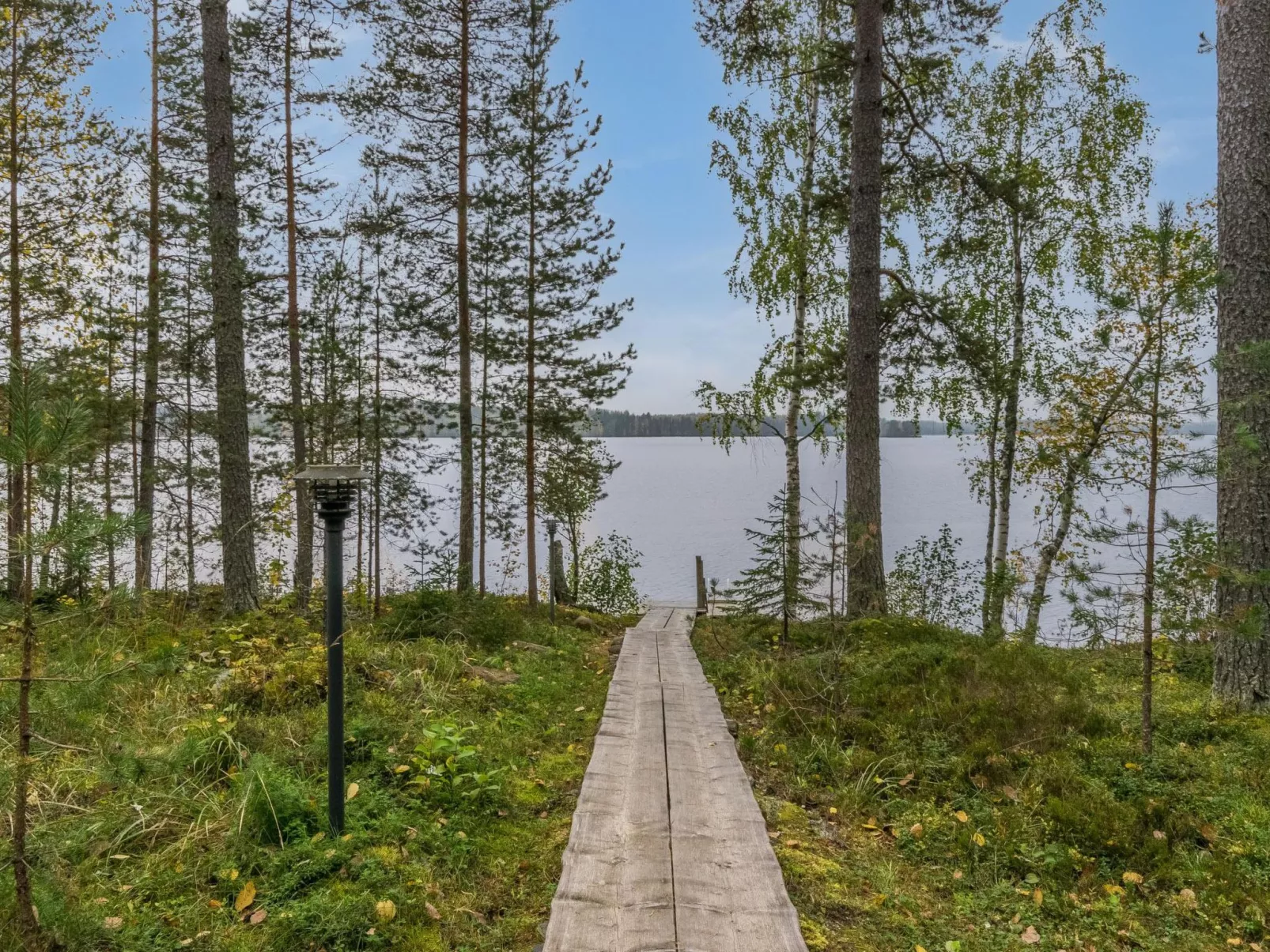 Metsola / huilinpaikka