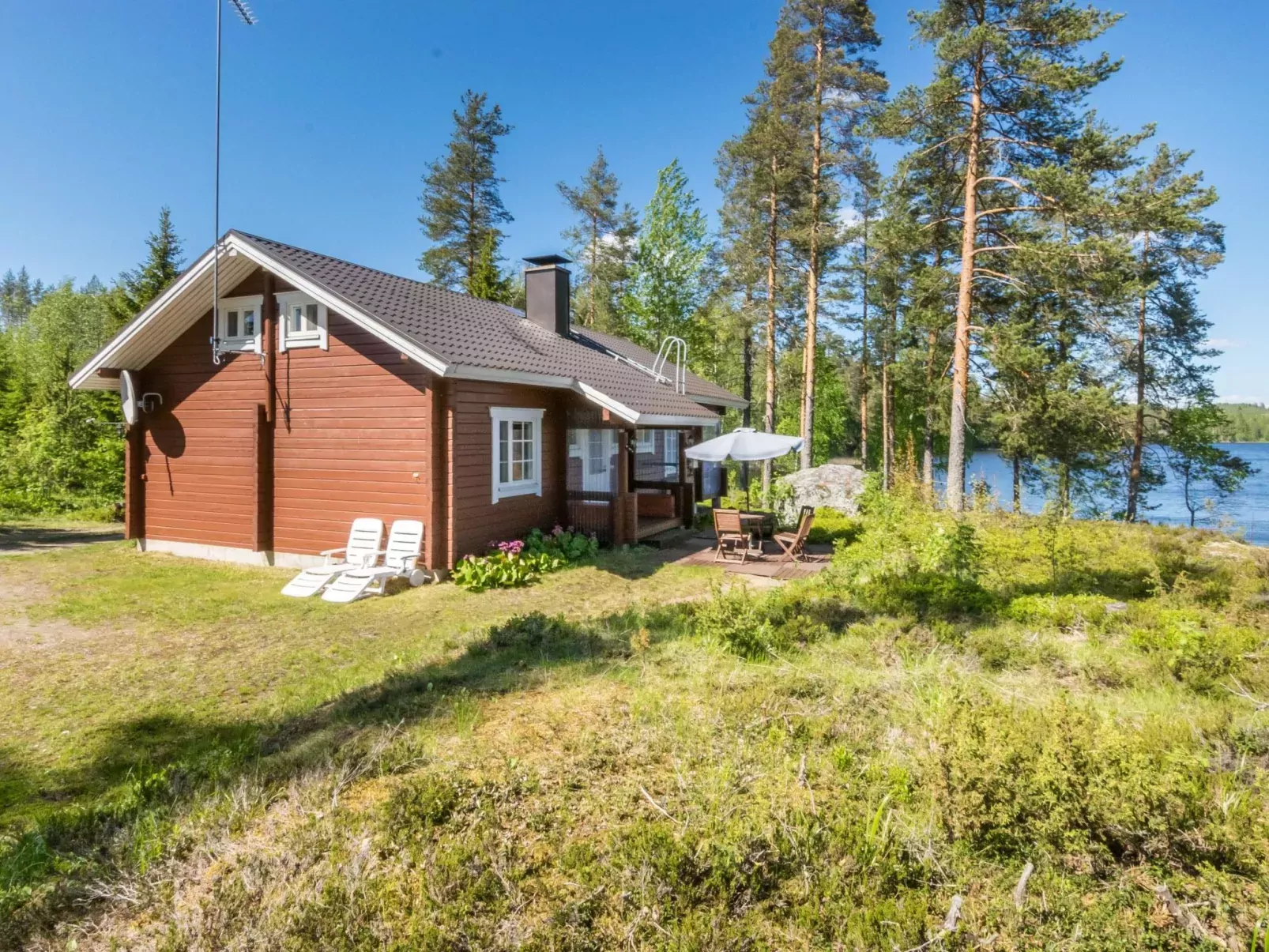 Pajulintu