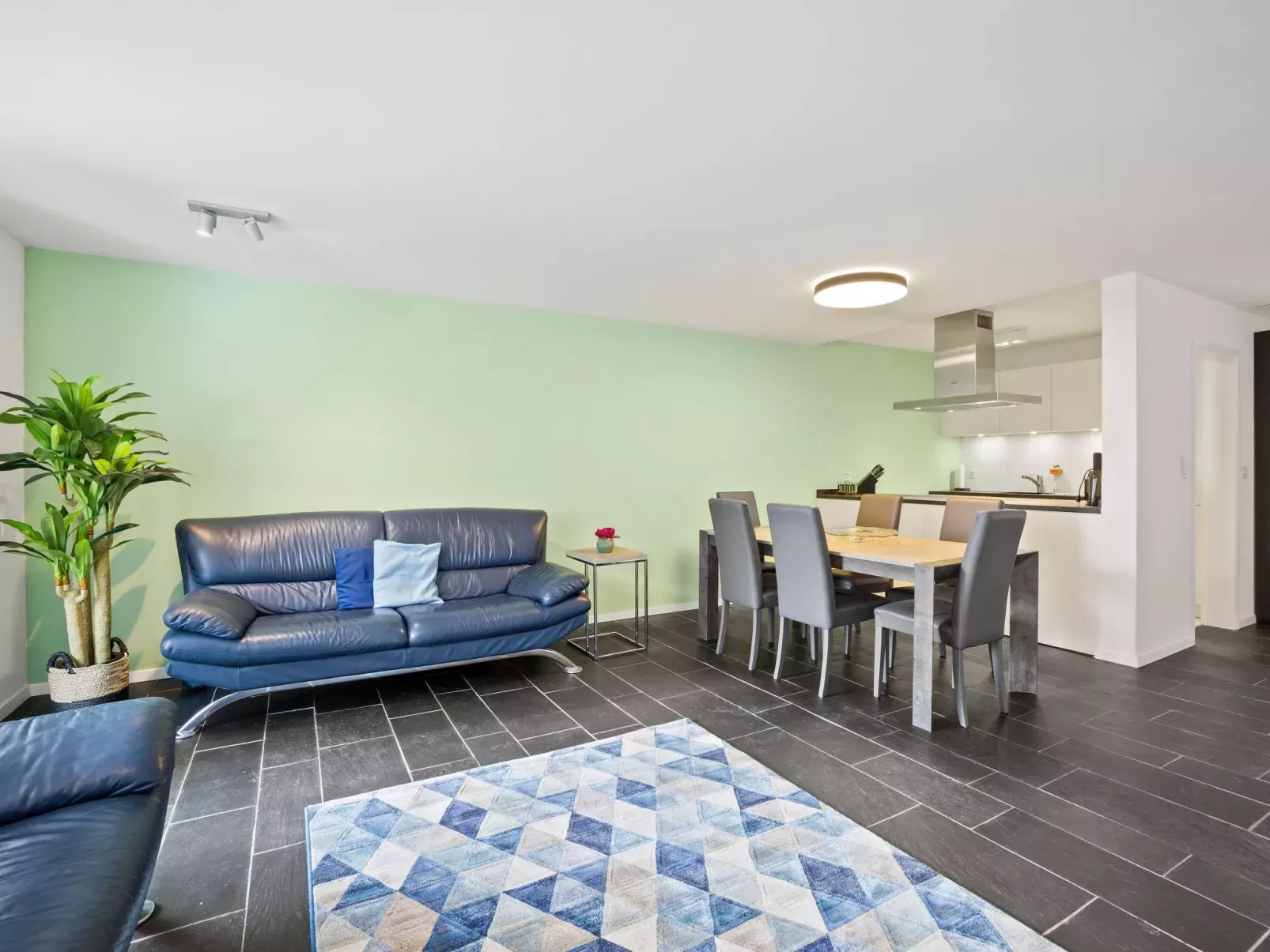 Nr.14 Haus Astoria-Binnen