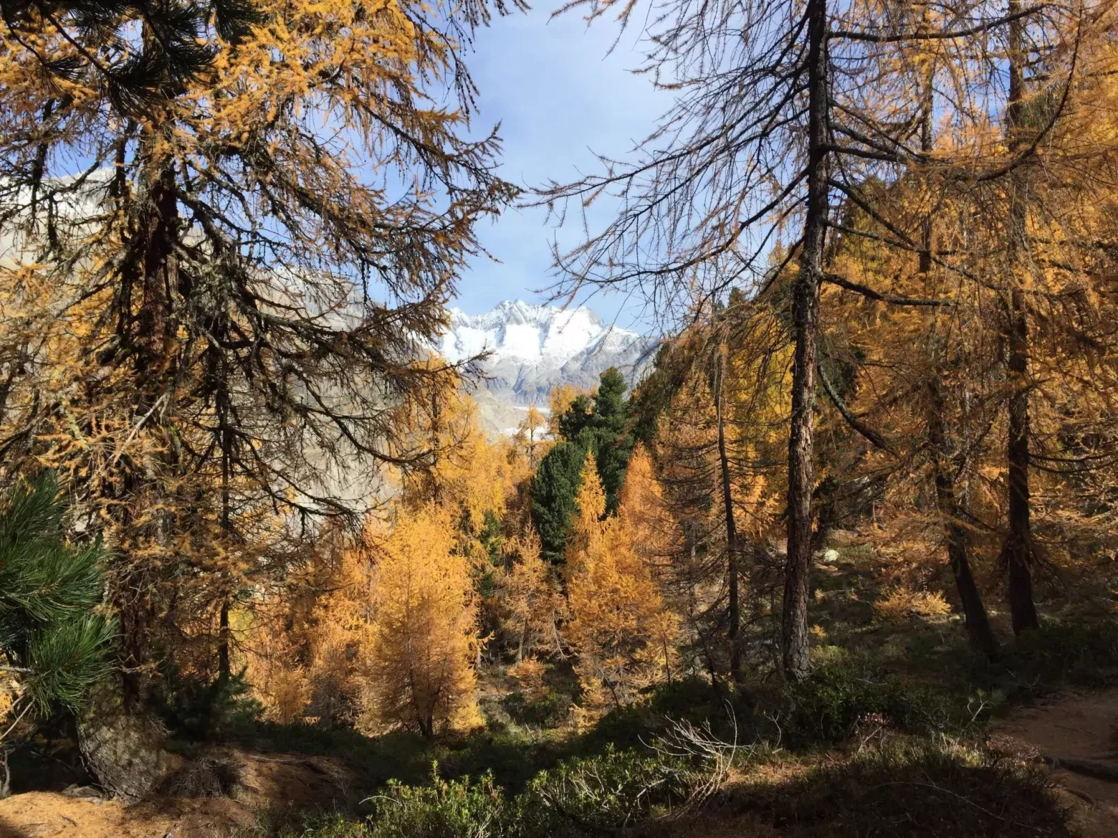 Amici 1. OG West-Buiten