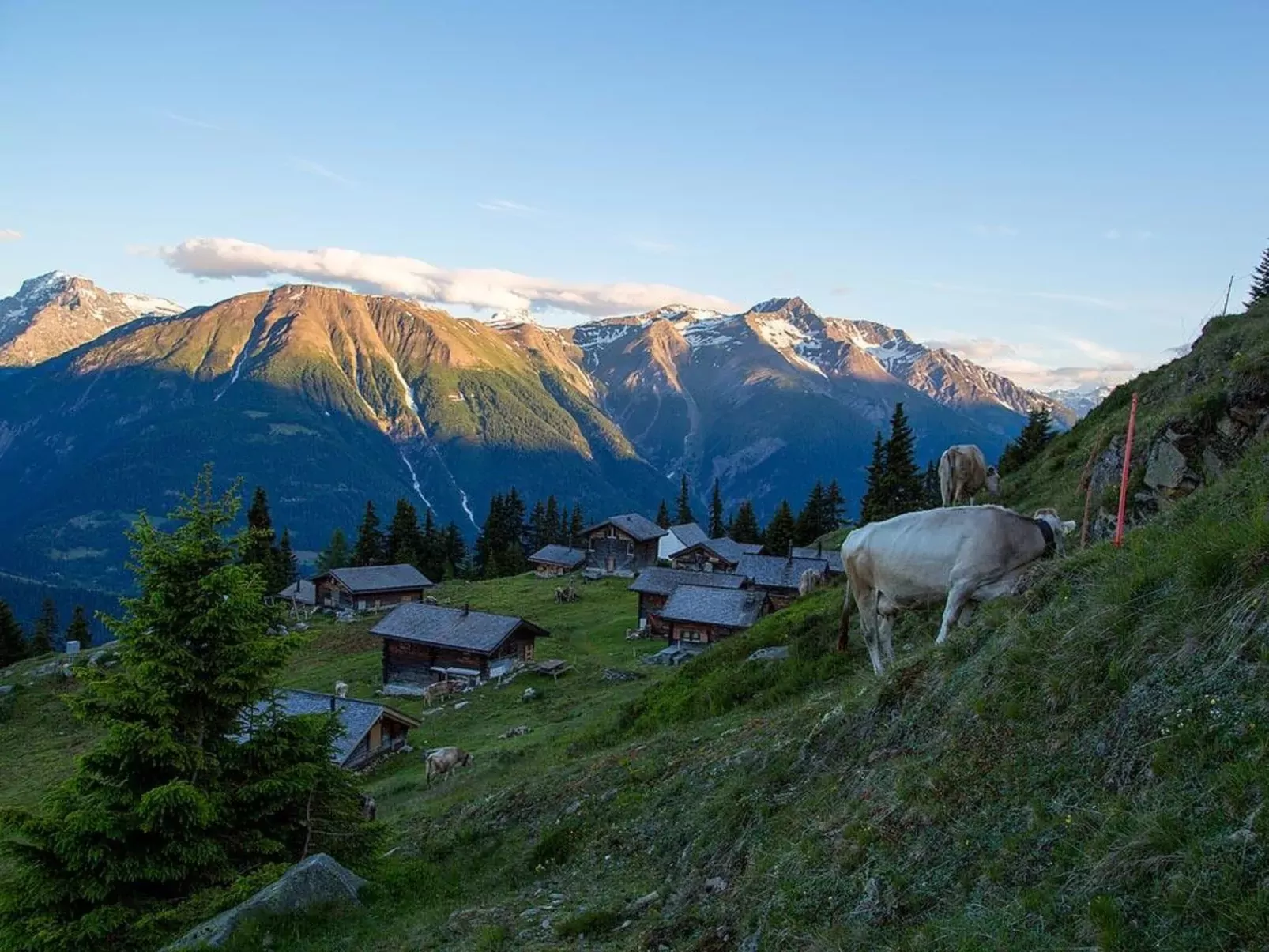 Alphütte Bielerhüs-Buiten