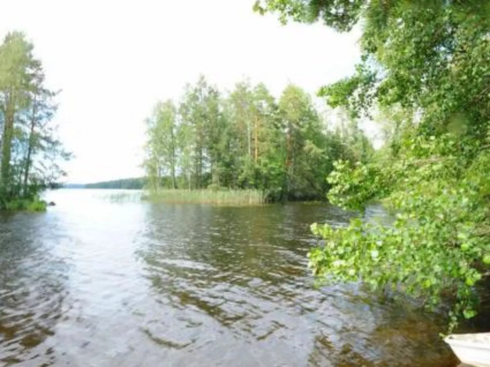 Tipuniemi-Buiten
