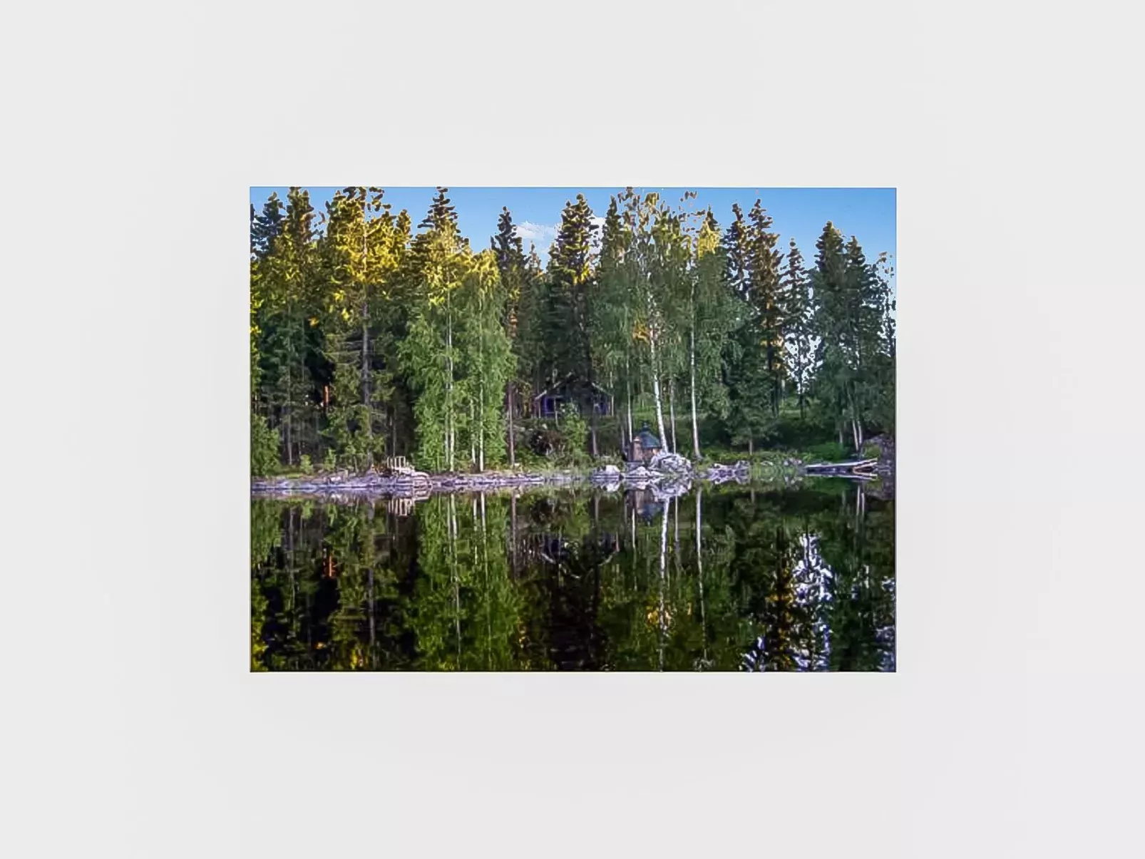 Mustikka-Buiten