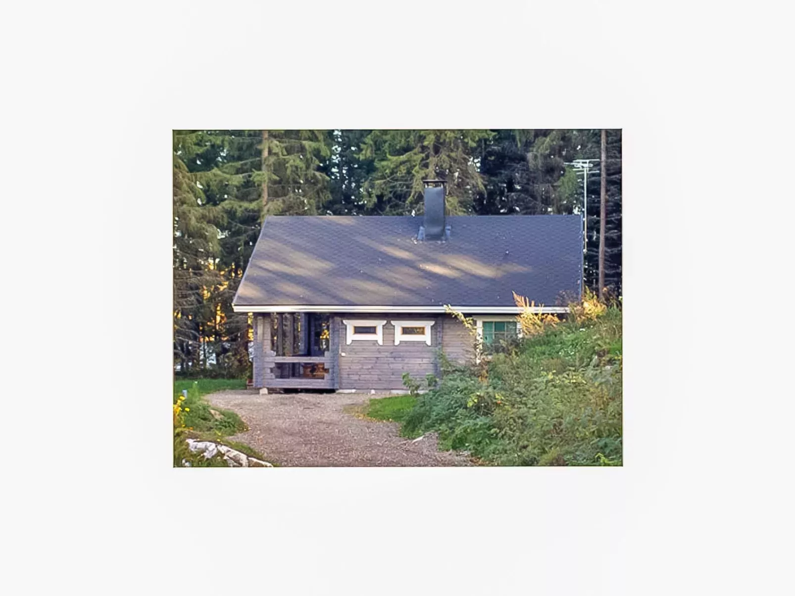 Mustikka-Buiten