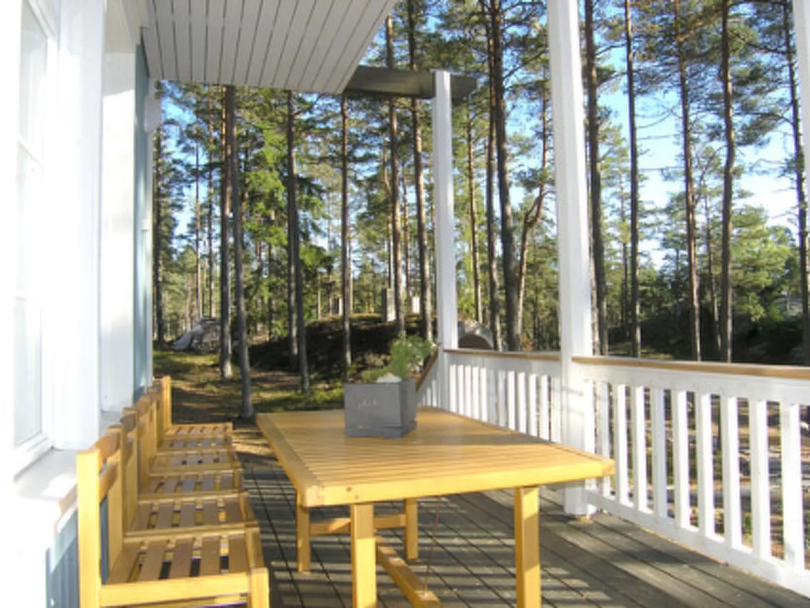 Villa merituuli