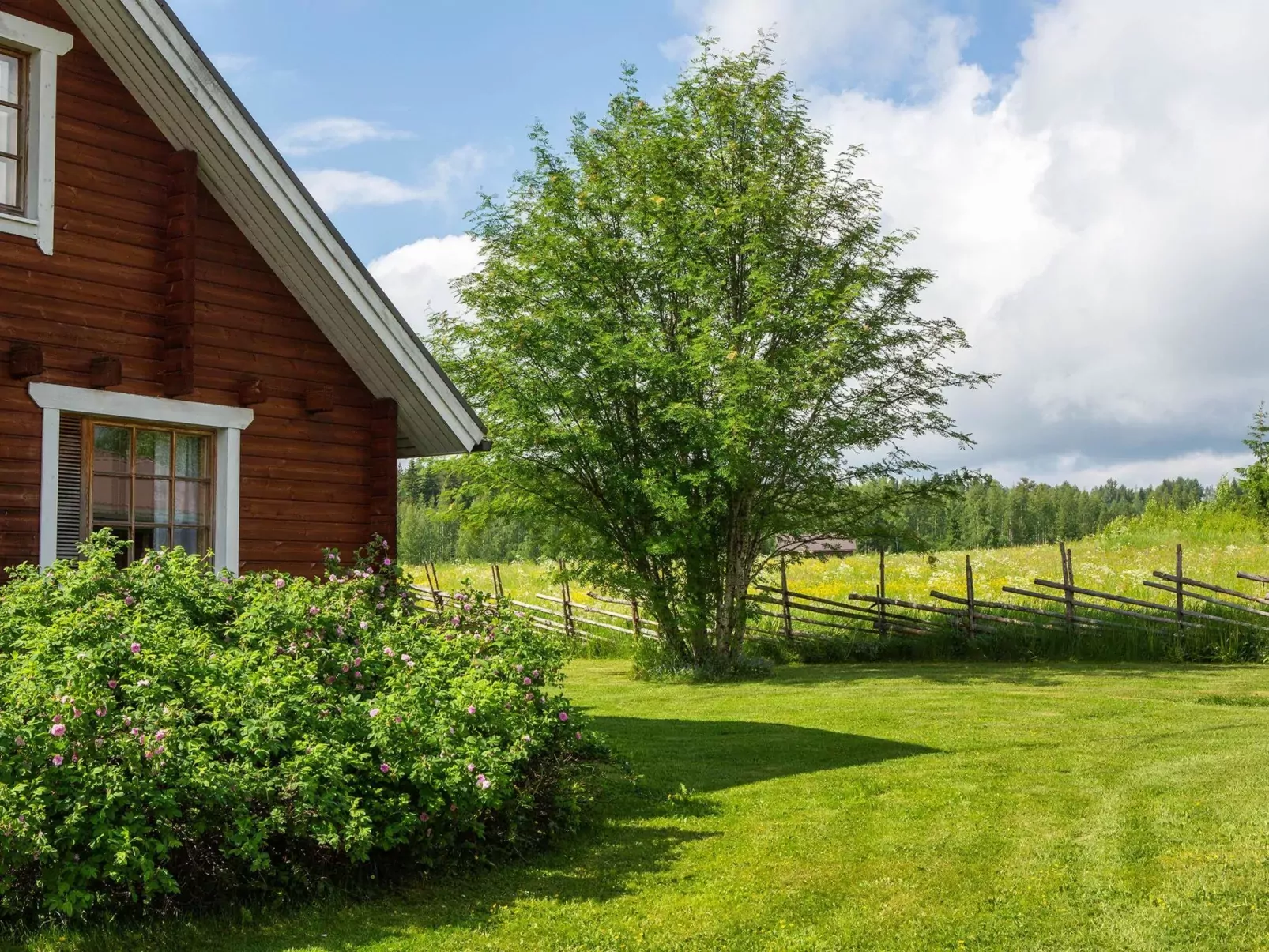 Ranta-lemettilä-Buiten