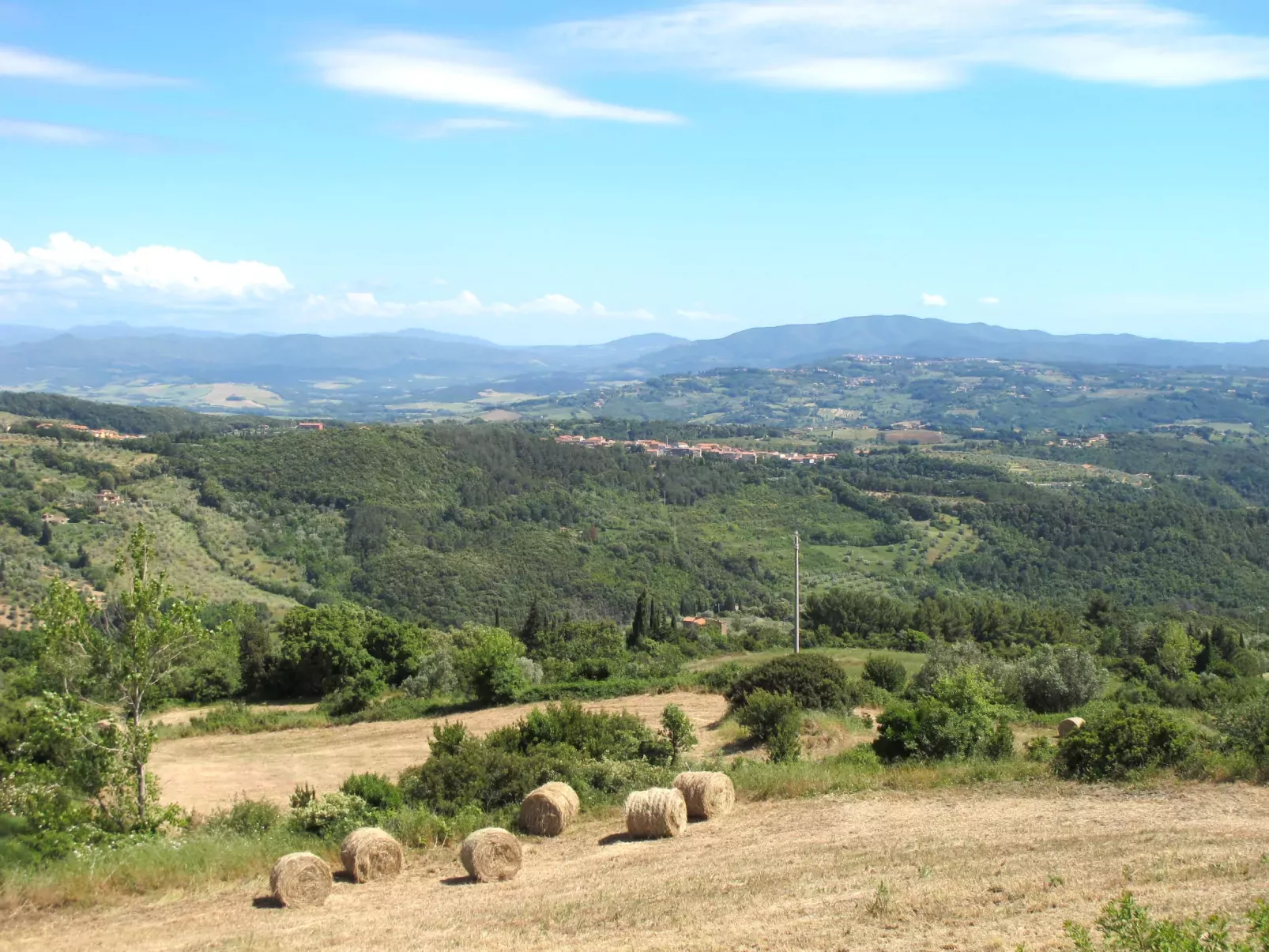 La Casina di Riccardo-Omgeving