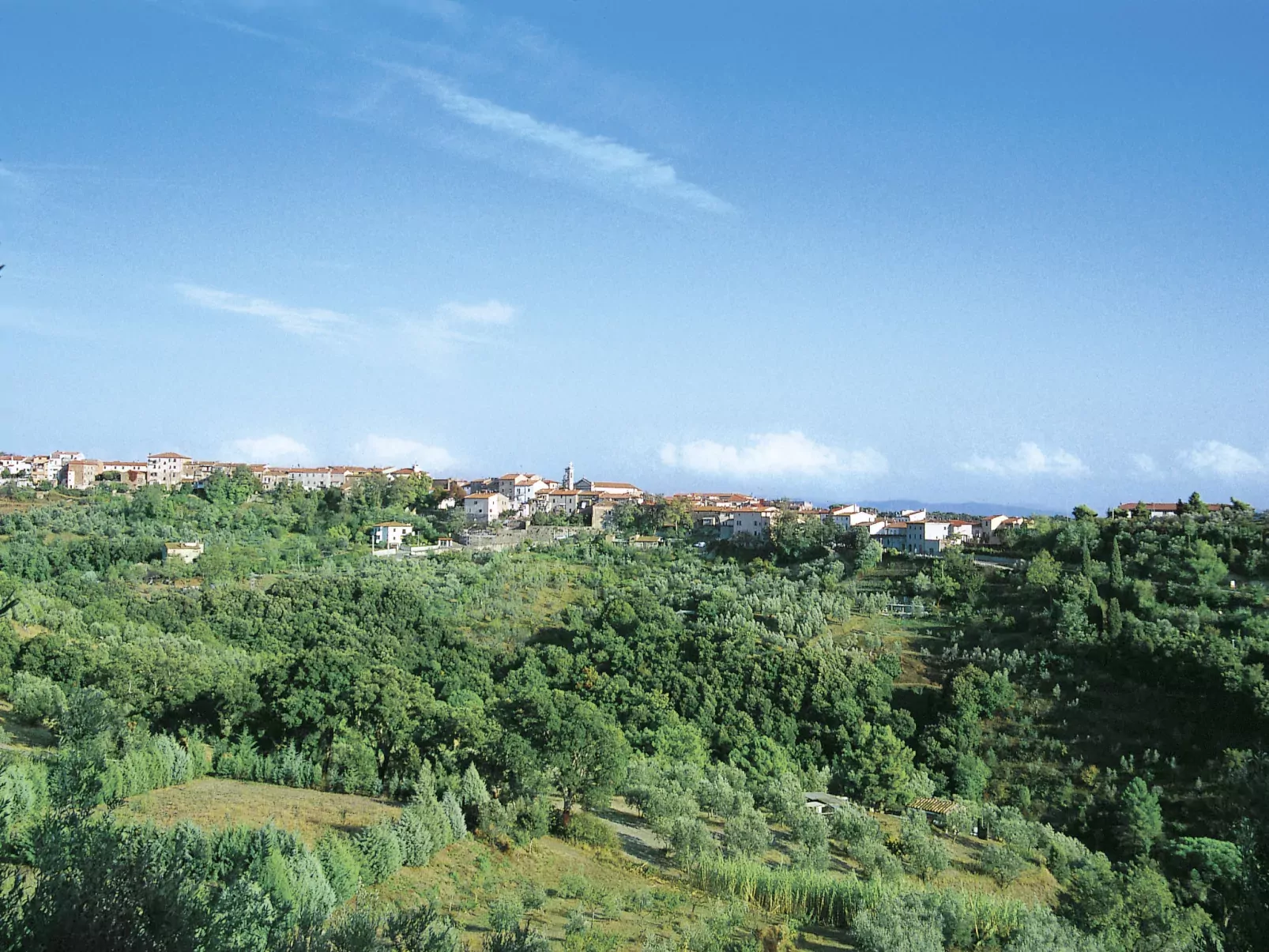 La Casina di Riccardo-Omgeving