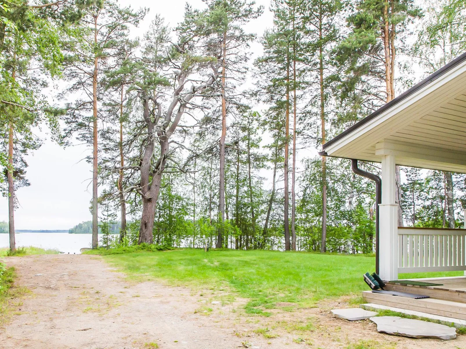 Petäjäniemi-Buiten