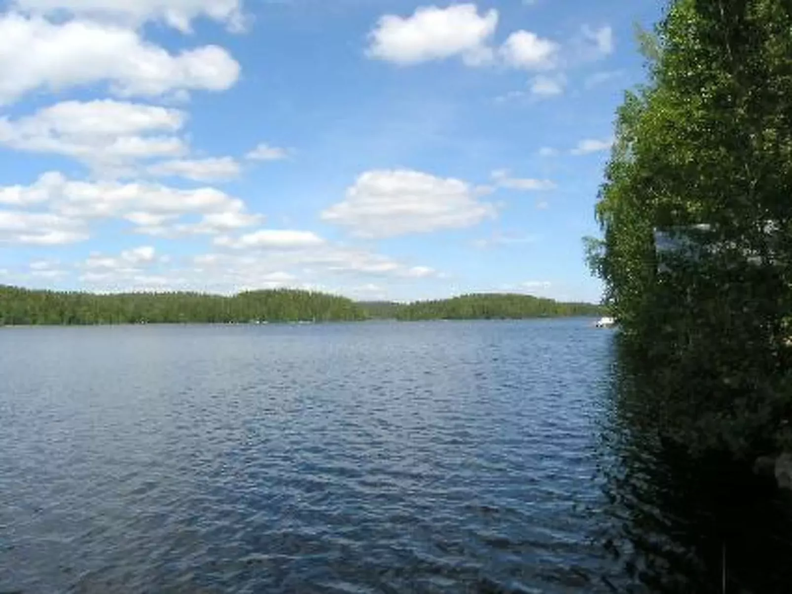 Lomakuikka-Buiten