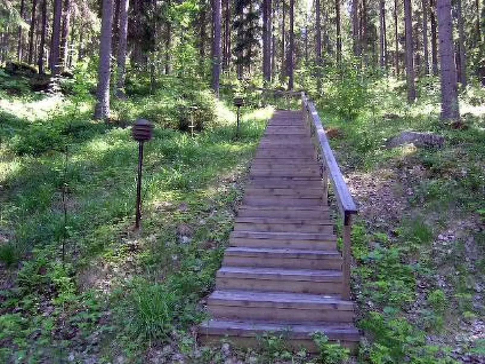 Lomakuikka-Buiten
