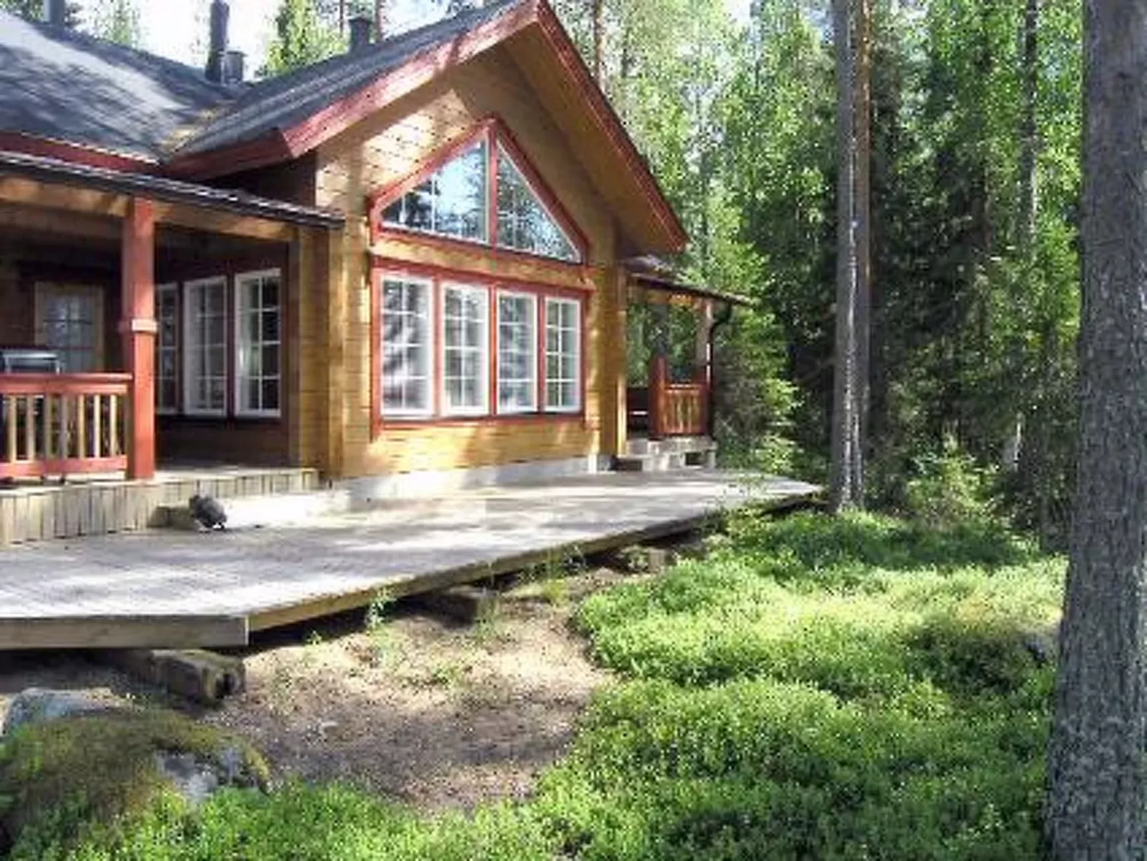 Puolukka