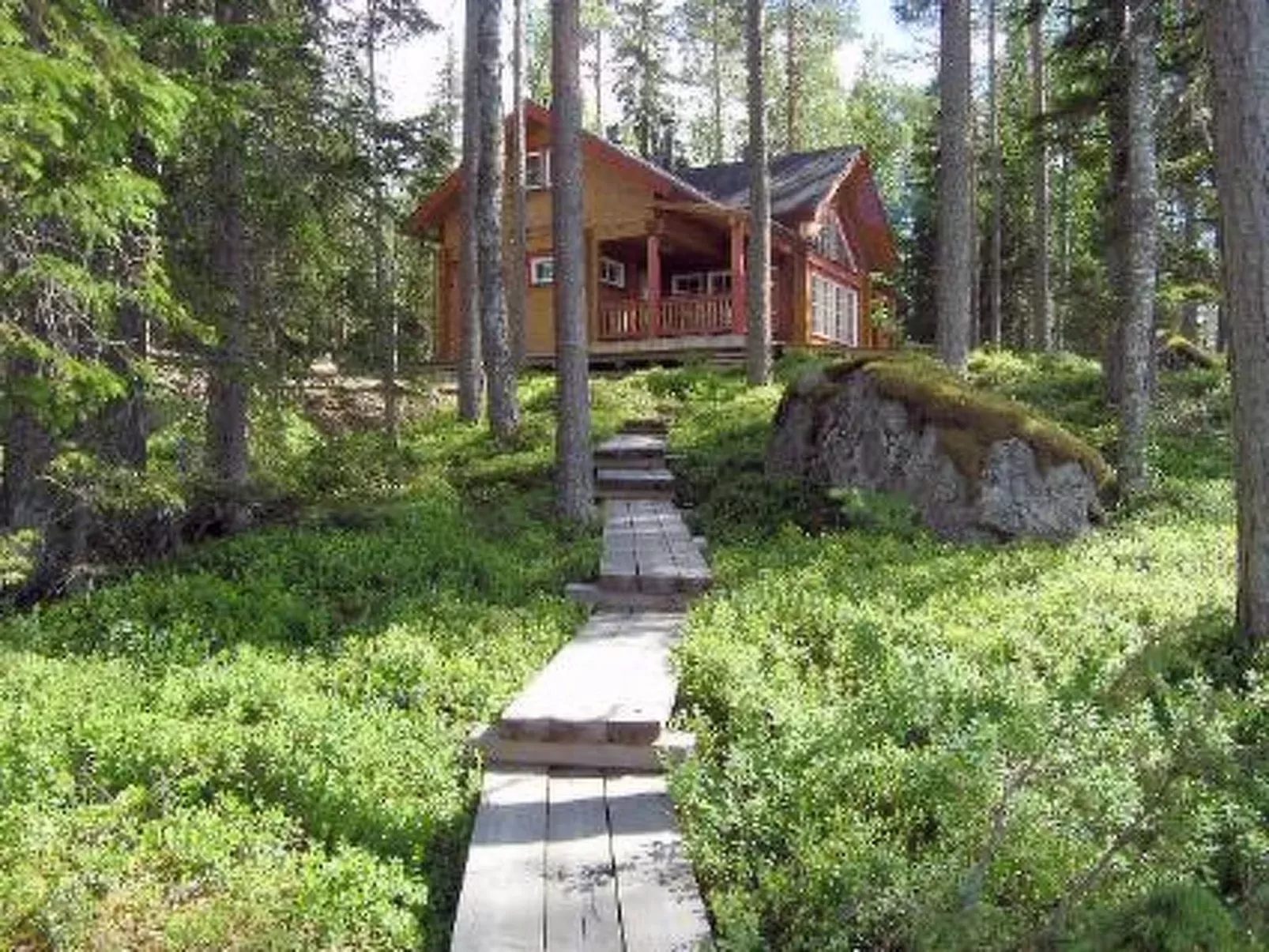 Puolukka