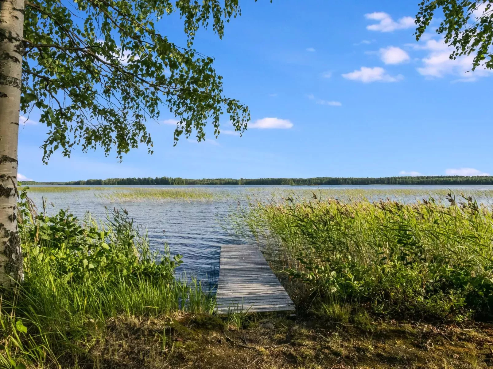 Kekkola-Buiten