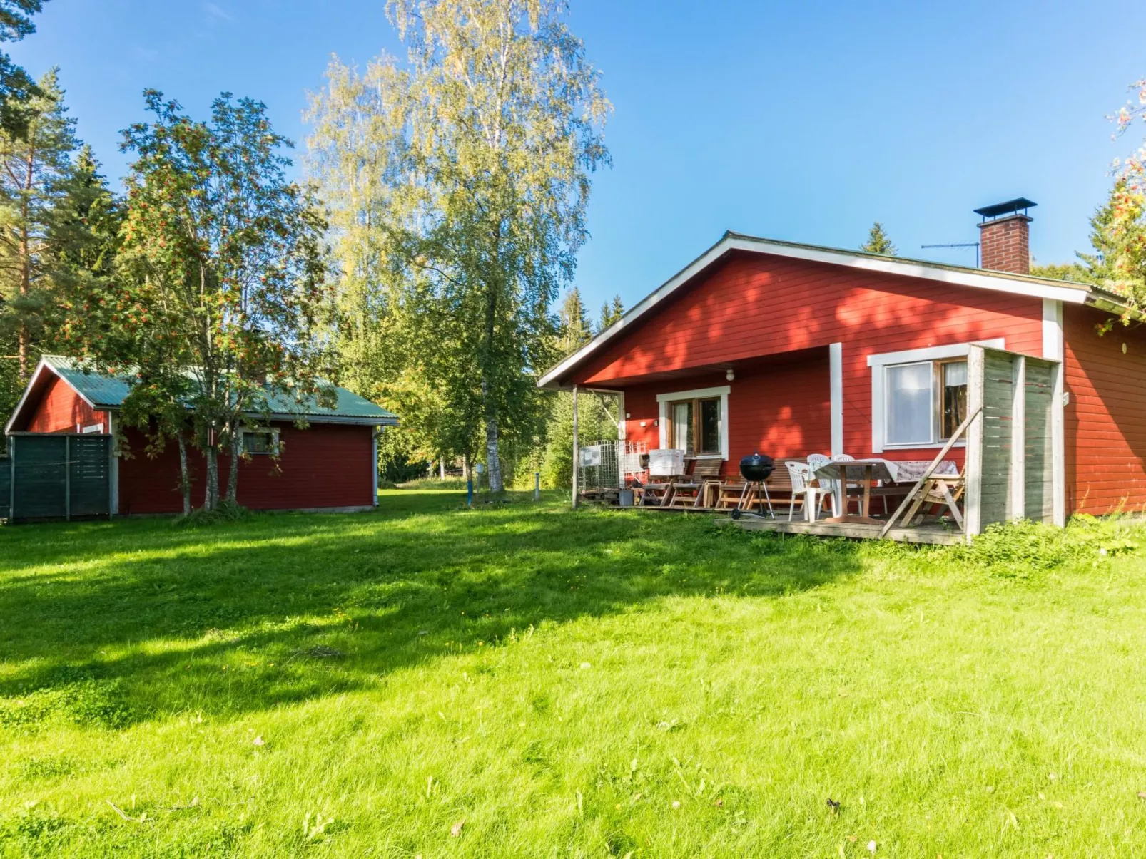 Saniainen 5-Buiten