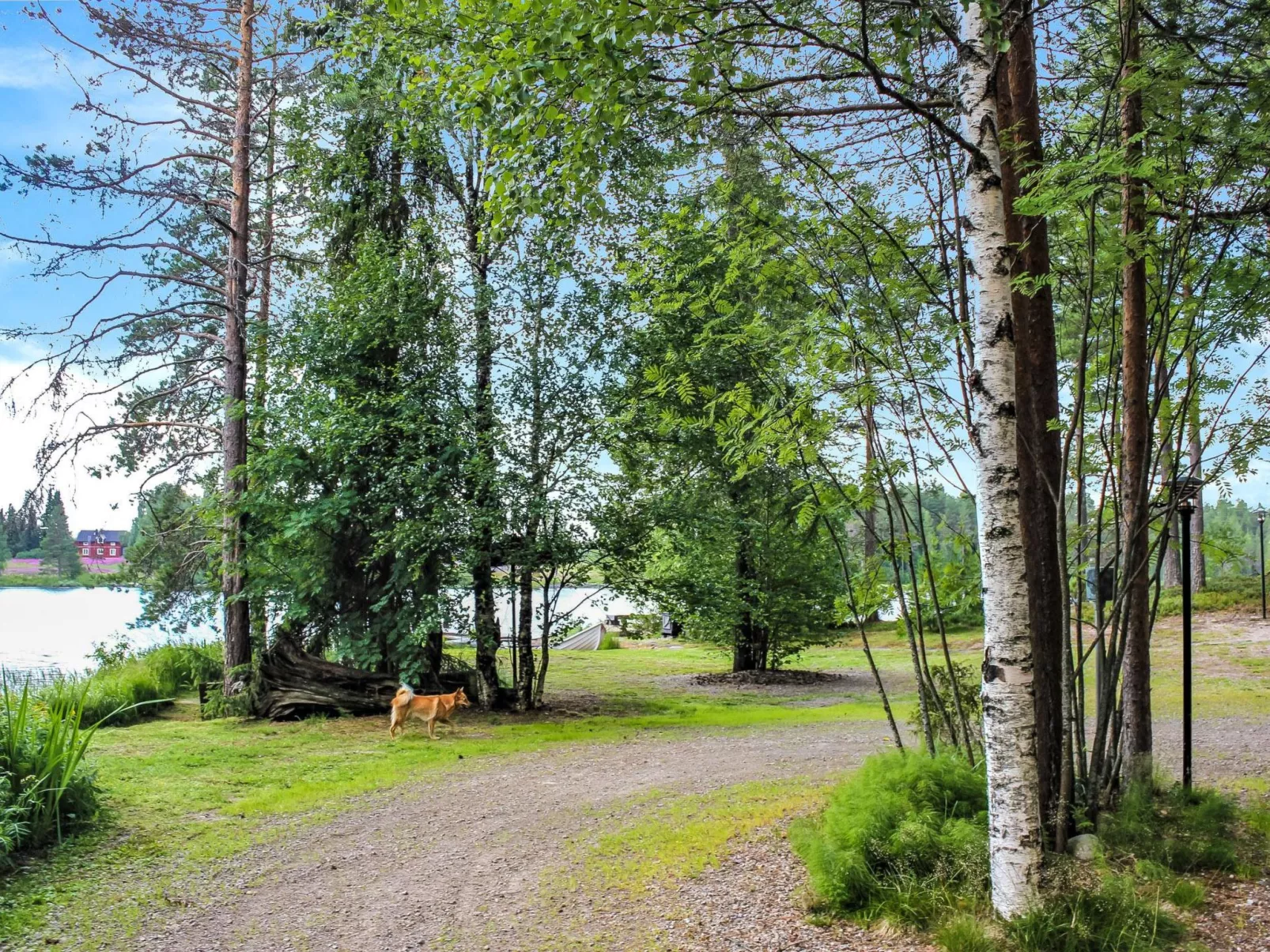 Hamppulahti-Buiten