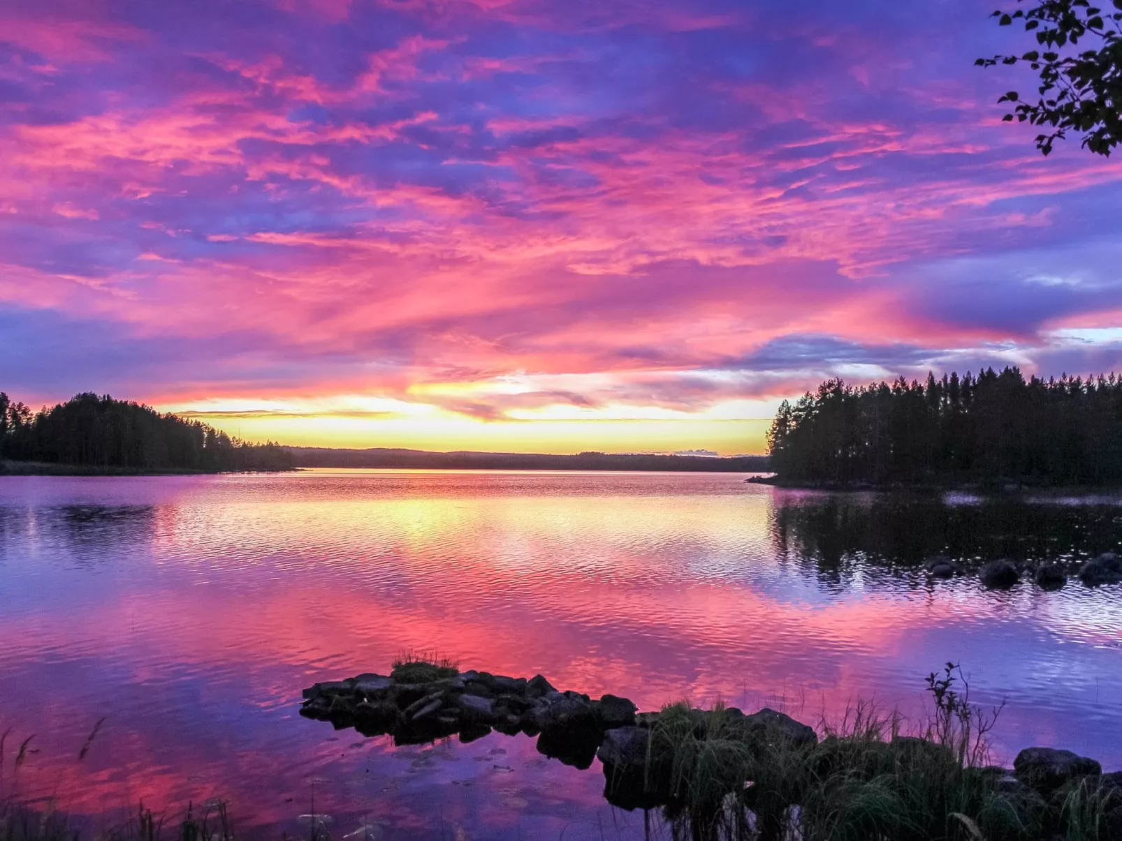Hamppulahti-Buiten