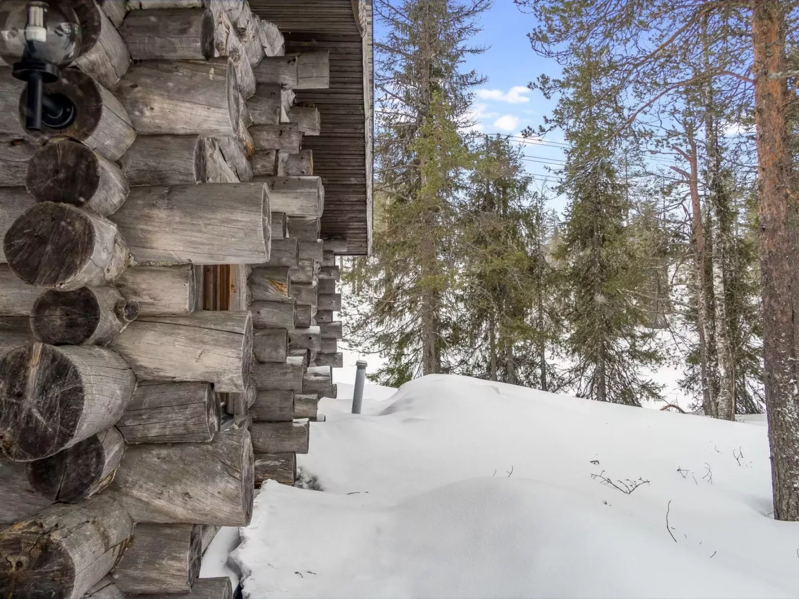 Rukakämmekkä-Buiten