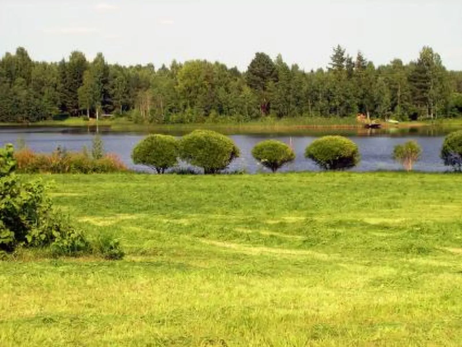 Petäjäniemi
