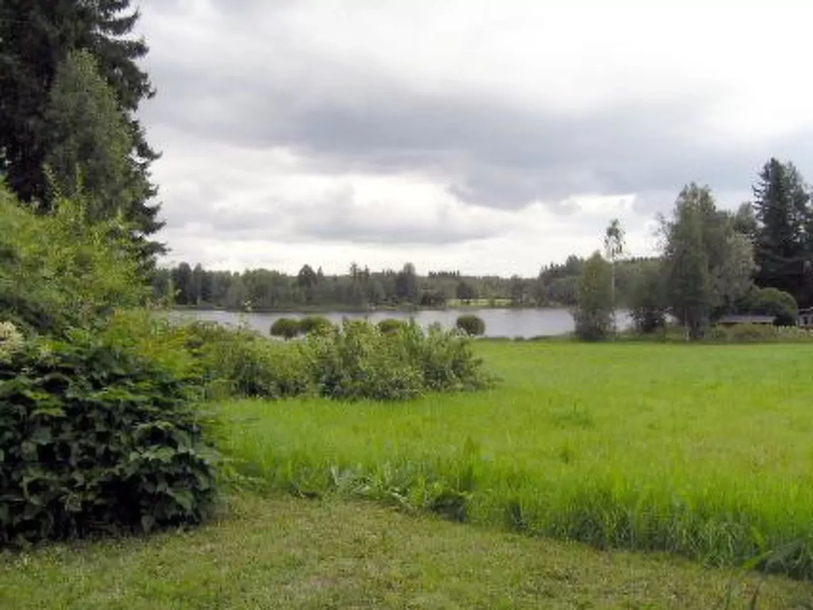 Petäjäniemi-Binnen