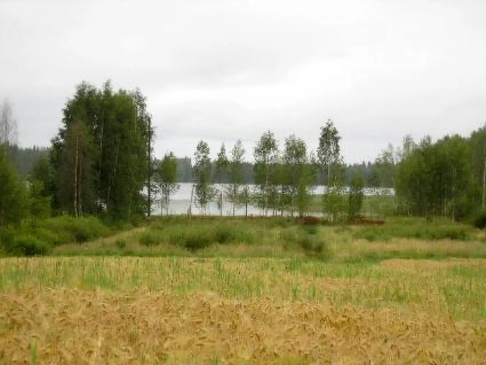 Jokela-Binnen